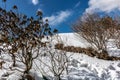 Tsomgo  Changu  lake in near frozen form Royalty Free Stock Photo