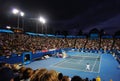 Tsonga v Petzschner at Australian Open 2011 Royalty Free Stock Photo