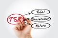 TSR - Total Shareholder Return acronym Royalty Free Stock Photo