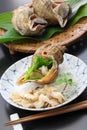 Tsubu gai sashimi, japanese whelk sashimi Royalty Free Stock Photo