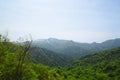 Tsugaru Pass in Shirakami-Sanchi )