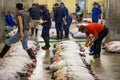 Tsukiji Fish Market