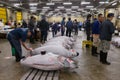 Tsukiji Fish Market in Tokyo, Japan