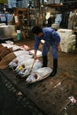 Tsukiji fishmarket Royalty Free Stock Photo