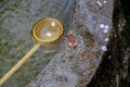 Bamboo dipper of Tsukubai Water Fountain in Japanese Garden at Kita-in Temple,Kosenbamachi,Kawagoe,Saitama,Japan in spring.With sa