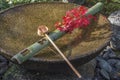 Tsukubai Water Fountain in Japanese Garden