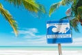 Tsunami sign and palm tree on blue sky and white clouds background Royalty Free Stock Photo