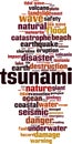 Tsunami word cloud Royalty Free Stock Photo