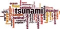 Tsunami word cloud Royalty Free Stock Photo
