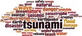Tsunami word cloud Royalty Free Stock Photo