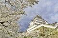 Tsuruga Castle or Aizuwakamatsu Castle