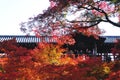 Tsuten-kyo bridge during autumn,Tofukuji Temple Kyoto, Japan Royalty Free Stock Photo