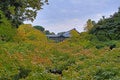 Tsutenkyo Bridge at Tofukuji Temple Royalty Free Stock Photo