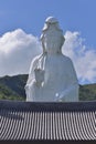 Tsz Shan Monastery statute