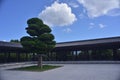 Tsz Shan Monastery pine pavilion Gazebo Kiosk