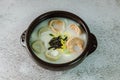 tteok mandu guk, Korean style dumpling soup with sliced rice cake Royalty Free Stock Photo