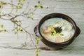 tteok mandu guk, Korean style dumpling soup with sliced rice cake Royalty Free Stock Photo