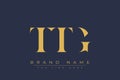 TTG abstract letter logo design Royalty Free Stock Photo
