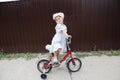 Little stylish girl riding bike. Kid on bicycle. Child enjoying bike ride. Sport kids. Royalty Free Stock Photo