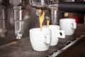 Ttraditional Espresso Coffee Machine making cup of espresso coffee. Royalty Free Stock Photo