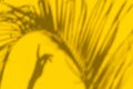 Ttropical leaves shadows with hand on yellow background Royalty Free Stock Photo