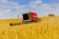 Ttwo Harvester harvesting yellow wheat Royalty Free Stock Photo