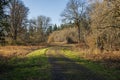 The Tualatin wildlife refuge park Oregon Royalty Free Stock Photo