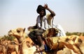 Tuareg camel driver, Mauritania Royalty Free Stock Photo