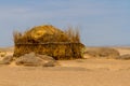 Tuareg encampment. Illizi Province, Djanet, Algeria, Africa Royalty Free Stock Photo