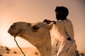 Tuareg with his camel Royalty Free Stock Photo