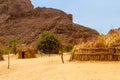 Tuareg village. Tassili N\'Ajjer National Park, Algeria