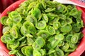 Tub of dried kiwi fruit Royalty Free Stock Photo