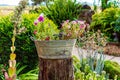 A Tub Full Of Flowers On A Tree Trunk In A Garden Royalty Free Stock Photo