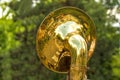 Tuba on a city firmly Royalty Free Stock Photo