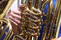 Tuba Player Royalty Free Stock Photo