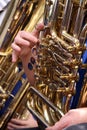 Tuba Player Royalty Free Stock Photo