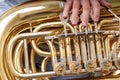 Tuba Player Royalty Free Stock Photo