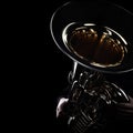 Tuba player brass instruments Royalty Free Stock Photo