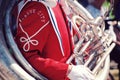 Tuba Player Royalty Free Stock Photo