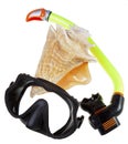 Tube for diving (snorkel), big sea shell and mask Royalty Free Stock Photo
