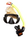 Tube for diving (snorkel), big sea shell and mask Royalty Free Stock Photo