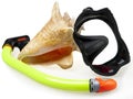 Tube for diving (snorkel), big sea shell and mask Royalty Free Stock Photo