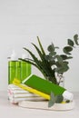 Tube of toothpaste, toothbrush, fresh aloe, eucalyptus and care products on white wooden table Royalty Free Stock Photo