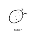 Tuber icon from Fruit and vegetables collection. Royalty Free Stock Photo