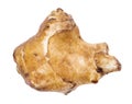 Tuber of jerusalem artichoke sunroot cutout Royalty Free Stock Photo
