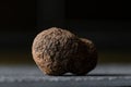 Tuber melanosporum, called the black truffle, PÃÂ©rigord truffle or French black truffle Royalty Free Stock Photo