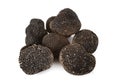 Tuber melanosporum in studio Royalty Free Stock Photo