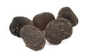 Tuber melanosporum in studio Royalty Free Stock Photo