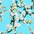 Tuberose - branches. Vector seamless pattern. Medicinal, perfumery and cosmetic plants. Wallpaper. Use printed materials, signs, p