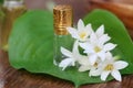 Tuberose or Rajnigandha of Southeast Asia with herbal extract